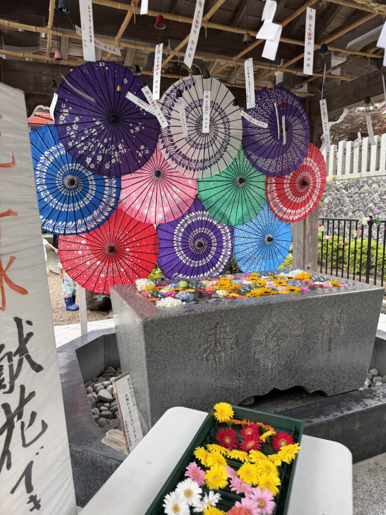 和傘と花手水
